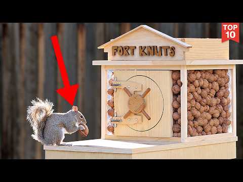 Backyard Squirrel Maze 2.0- The Walnut Heist